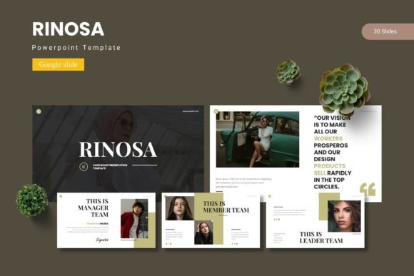 Rinosa: Crafting Polished, Professional Presentations